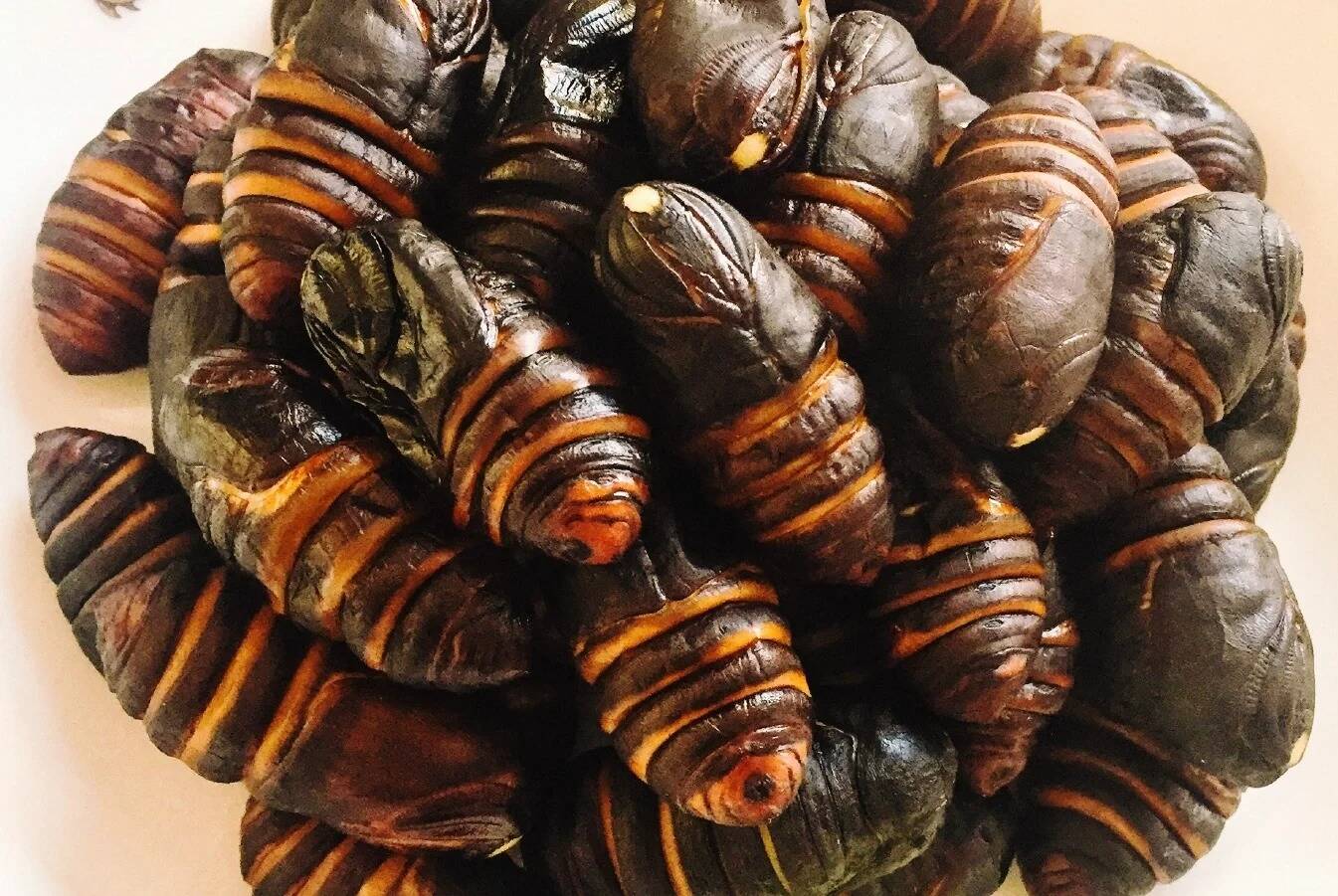 水煮蚕蛹怎么做？